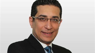 شادي العدل: بيان الحركة المدنية  «يعبر عن عدم خبرة»  وصيد في الماء العكر