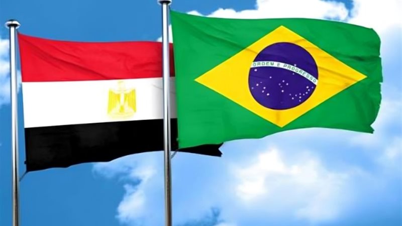 العلاقات المصرية - البرازيلية