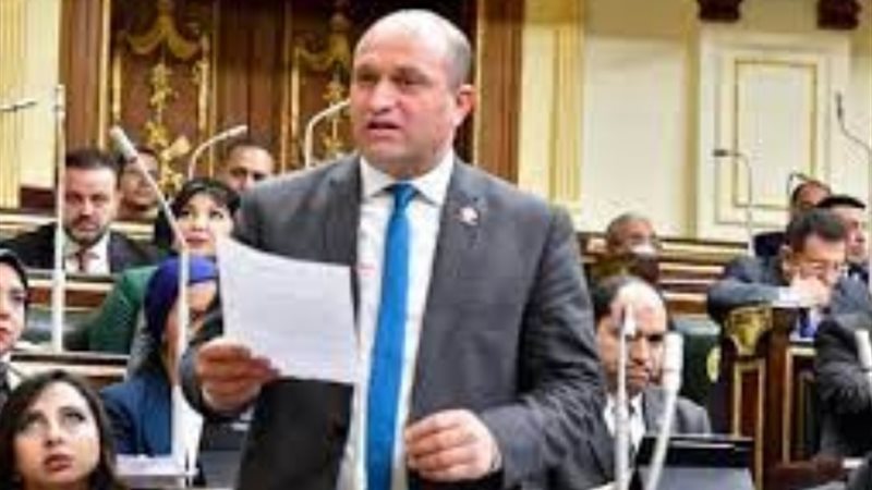 النائب أحمد رمزى