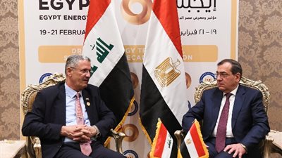 تعاون ثنائي بين مصر والعراق في مجال البتروكيماويات