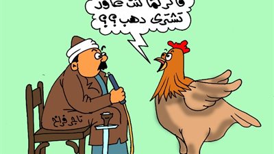 على طريقة الجمهور، بعد ارتفاع سعرها تستثمر في الفراخ ولا الدهب