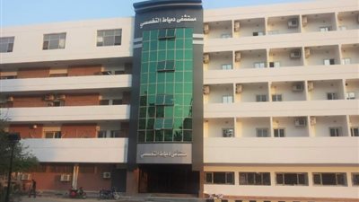 4 مستشفيات جديدة في دمياط تدخل المبادرة الرئاسية للعلاج عن بعد