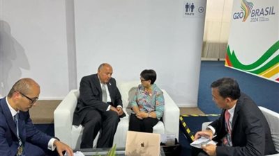 مصر تعرب عن أسفها لعجز مجلس الأمن عن وقف إطلاق النار في غزة