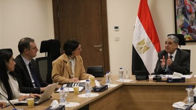 الكهرباء: مصر تتطلع لإنجاز مشروع ممر الطاقة الخضراء 