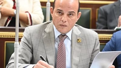 اقتصادية النواب عن الصفقة الكبرى: الشركات العالمية تتهافت على الاستثمار بمصر