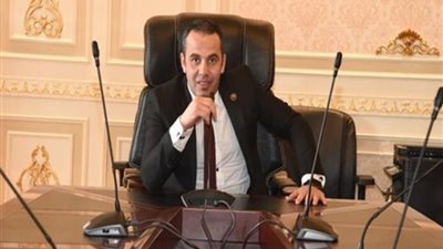برلماني: إعلان الحكومة عن أكبر صفقة استثمار مباشر سيحقق انتعاشة اقتصادية