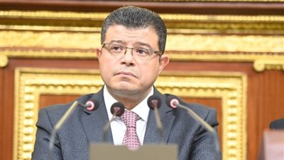 رئيس «اقتصادية النواب» عن صفقة رأس الحكمة: وداعا السوق السوداء