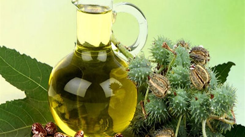 فوائد زيت الخروع للشعر