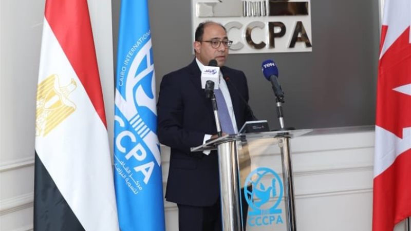 المتحدث الرسمي باسم وزارة الخارجية، السفير أحمد أبو زيد