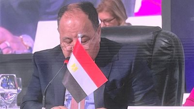 وزير المالية : التنمية المستدامة تتطلب الاستثمار فى الخدمات الأساسية