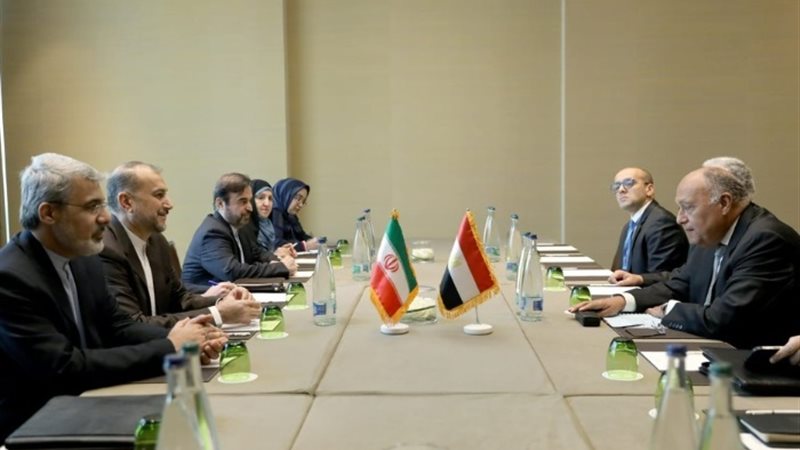 سامح شكري وزير الخارجية مع الدكتور 