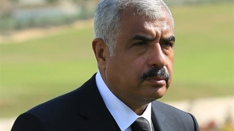 هشام طلعت مصطفى