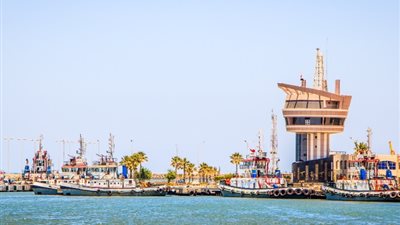 حركة الصادر من البضائع العامة بميناء دمياط 48748 طنا