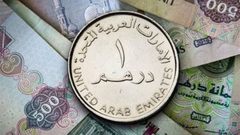 سعر الدرهم الإماراتي مقابل الجنيه المصري