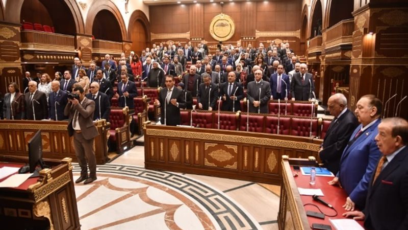 مجلس الشيوخ
