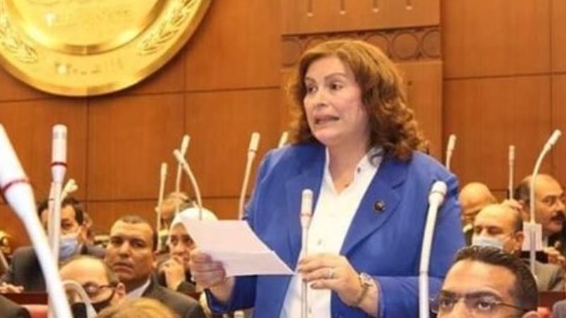 النائبة عايدة نصيف