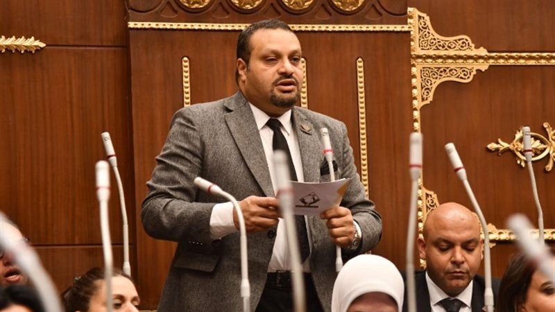 النائب أحمد القناوى