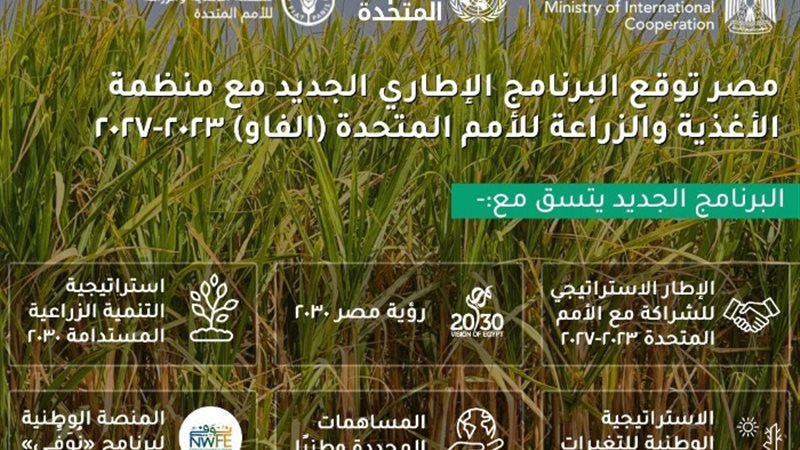 تعاون بين مصر ومنظمة «فاو»