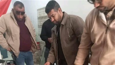 ضبط 42 طنا من مصنعات اللحوم والدواجن الفاسدة بالجيزة