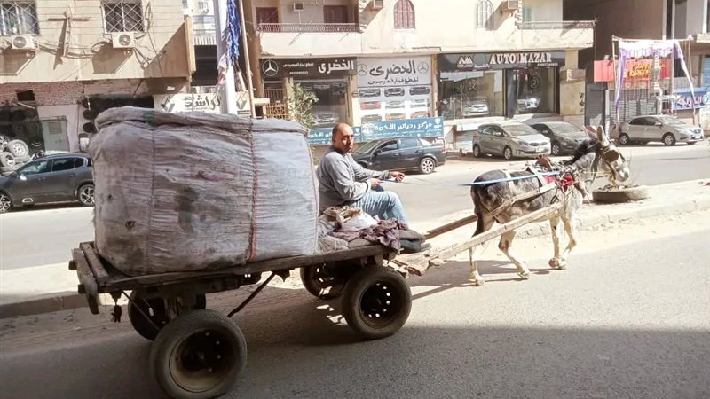 جانب من الحملة 
