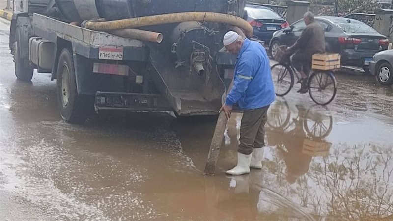 القليوبية 