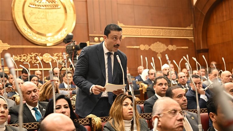 النائب محمد رزق عضو مجلس الشيوخ