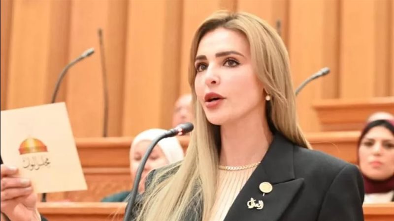  النائبة مروة بوريص، عضو مجلس النواب