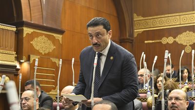 النائب محمد رزق يتقدم باقتراح برغبة لتنظيم المحتوى على منصات التواصل