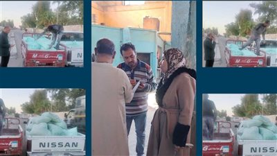 ضبط 18 جوال دقيق مدعم و209 بطاقات تموينية وتحرير محاضر بقنا 