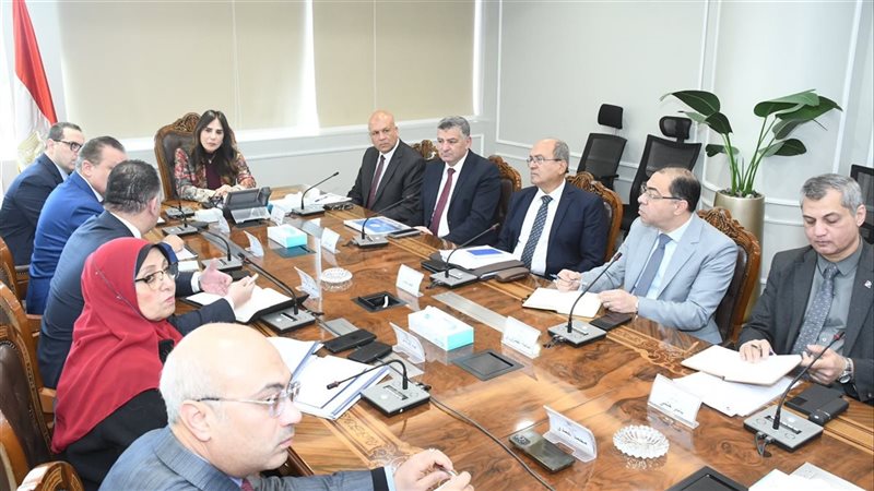 المهندسة راندة المنشاوي
