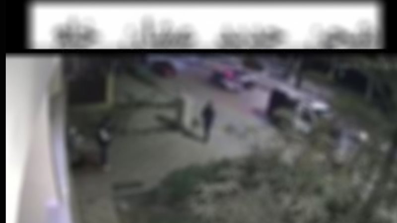 المنشور المتداول 