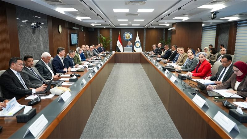 وزير البترول والثروة المعدنية