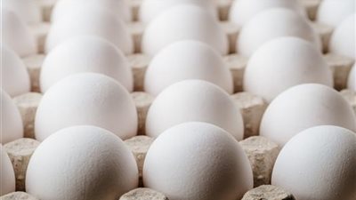 شعبة المواد الغذائية: تراجع أسعار البيض بعد رمضان يعكس وفرة المعروض وتراجع الطلب