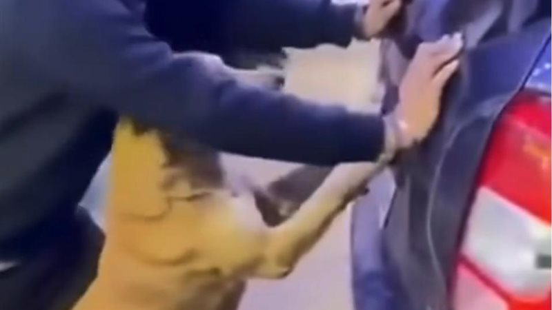 اللقطة