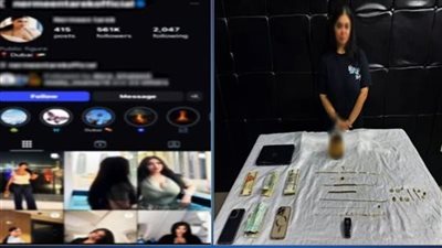 بتهمة نشر محتوى خادش للحياء.. البلوجر نرمين طارق تواجه هذه العقوبة بالقانون