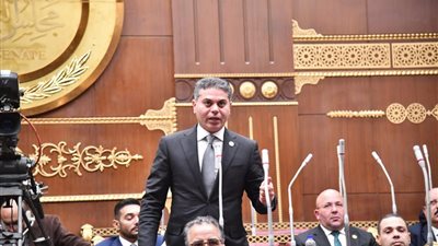مجدي البري: البيان المشترك للنواب والشيوخ يعكس وحدة الموقف المصري ورفض تهديد الأمن العربي