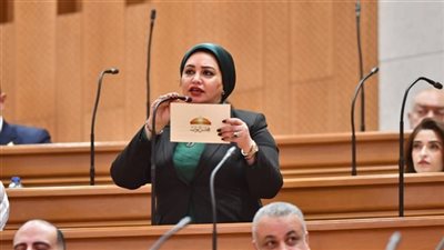 النائبة سولاف درويش : كلمة الرئيس في إفطار القوات المسلحة رسالة طمأنة للمصريين