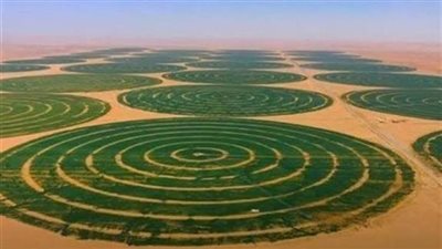 مشروع مستقبل مصر.. ركيزة استراتيجية لتعزيز الأمن الغذائي ودعم الاقتصاد الوطني