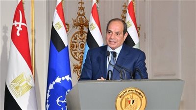 عضو بالشيوخ: تصريحات الرئيس السيسي رسائل طمانة للمصريين
