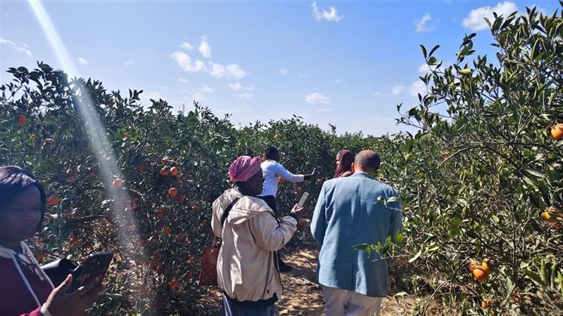 وزارة الزراعة