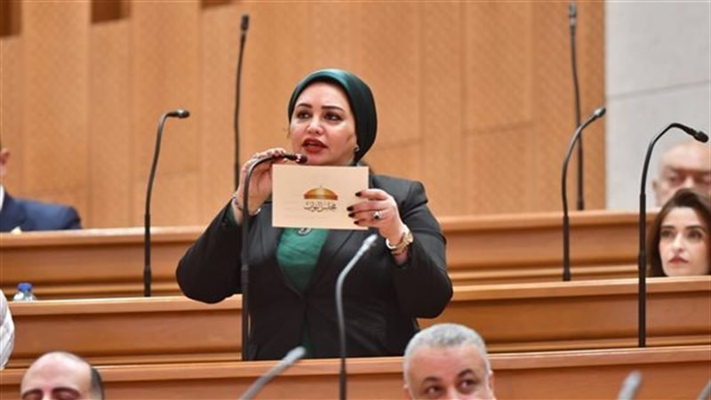  النائبة سولاف درويش عضو مجلس النواب
