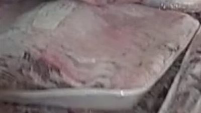 ضبط 100 كيلو لحوم منتهية الصلاحية داخل مطعم شهير بطنطا