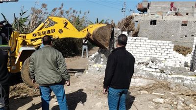 إزالة 26,845 تعدي على أراضي الدولة.. حماية الرقعة الوطنية وأرضنا الخضراء