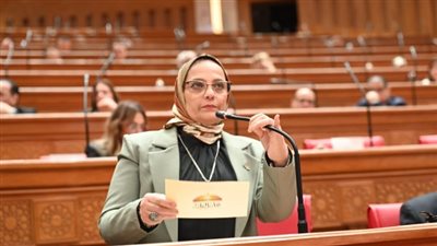 نجلاء العسيلي: جولة السيسي الخليجية تؤكد التزام مصر الراسخ بأمن واستقرار المنطقة