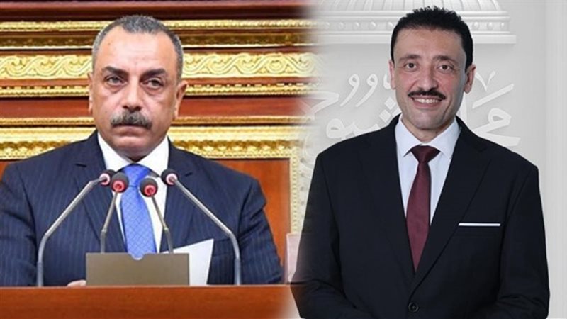 النائب محمد رزق والنائب إيهاب الطماوي