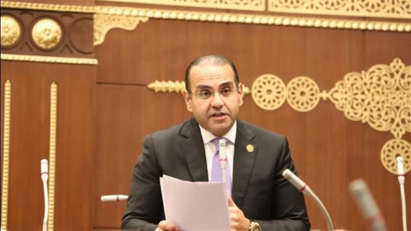 المهندس محمد المنزلاوي عضو مجلس الشيوخ