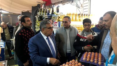 محافظ الدقهلية: انتظام توزيع الخبز حق للمواطن والمتابعة المستمرة دون تهاون