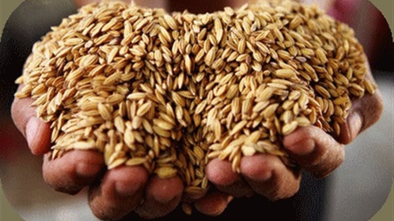 الزكاة