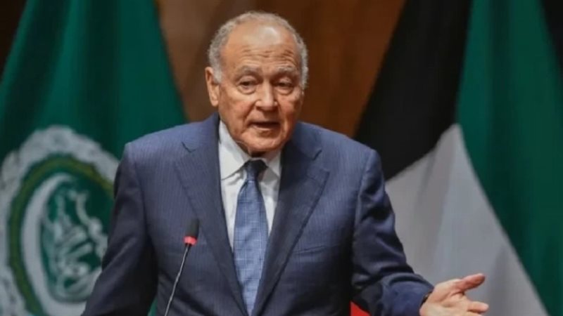 أبو الغيط