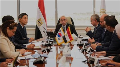 مصر وكوريا الجنوبية تبحثان آفاقًا جديدة للاستثمار.. تحركات لتعزيز الشراكة الاقتصادية